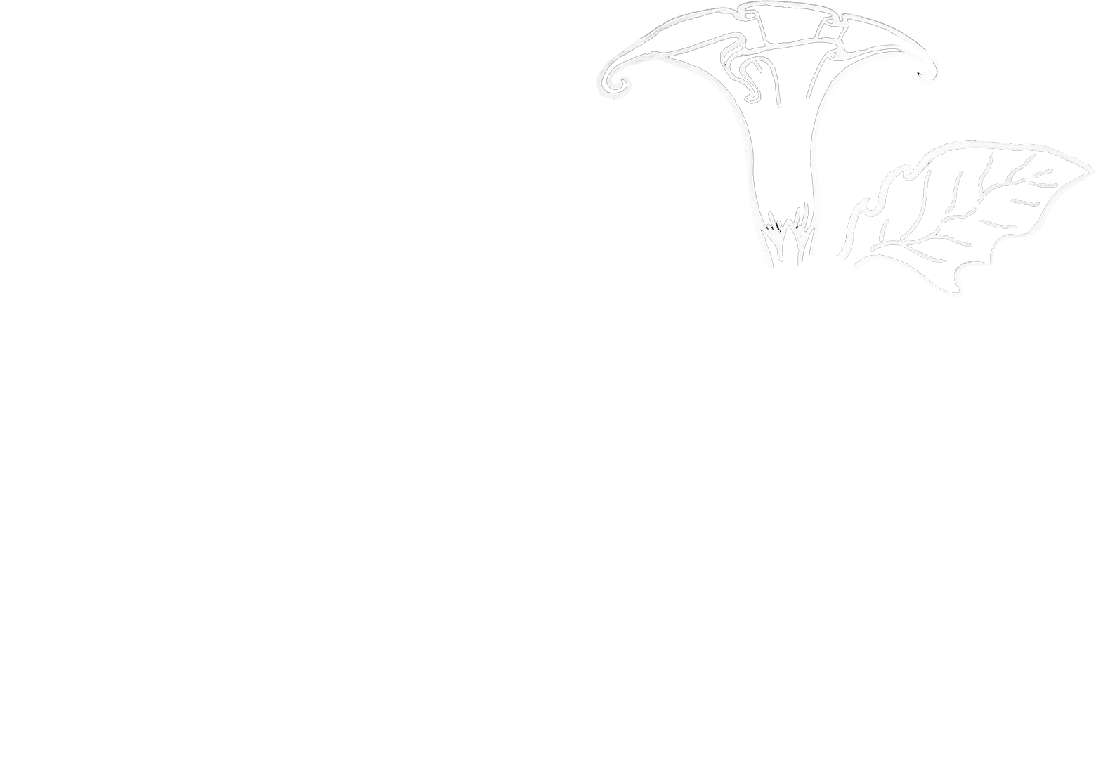 Jardim de Lilith